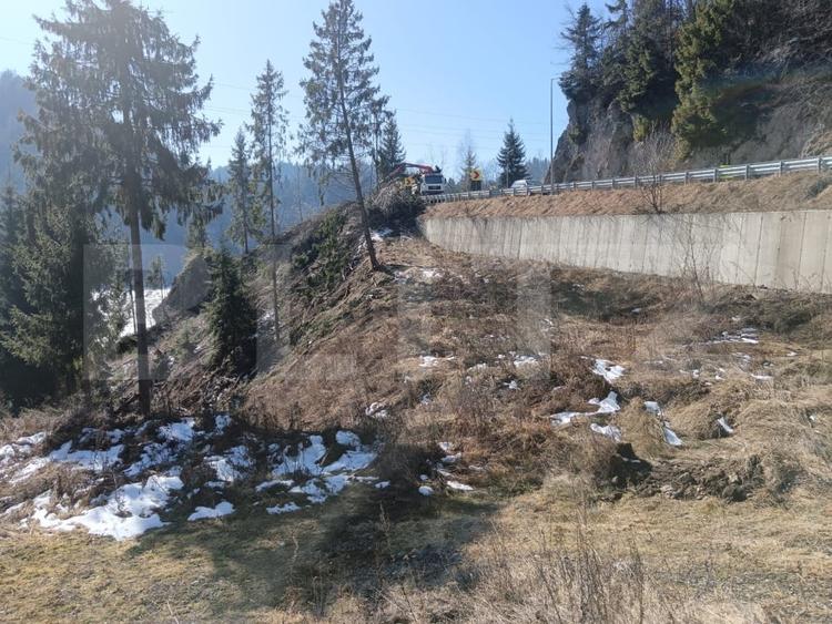Teren Construcții intravilan de 3100 mp, în Colibița