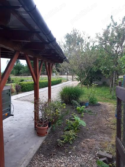 Casă cu 3 camere cu Teren 23000 Mp în Moftin