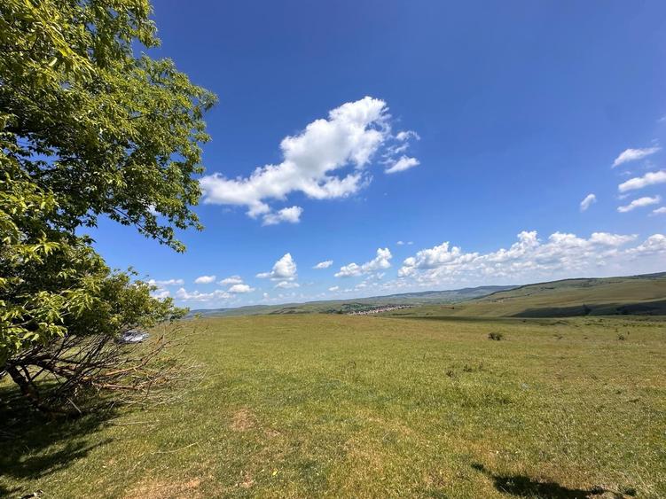 Teren extravilan de 54500 mp, în Lovnic