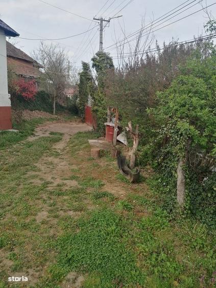 Casă cu 4 camere cu Teren 900 Mp în Sânmihaiu Almașului