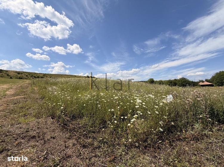 Teren 2900 m2 in Aiton ideal pentru investitie - 5
