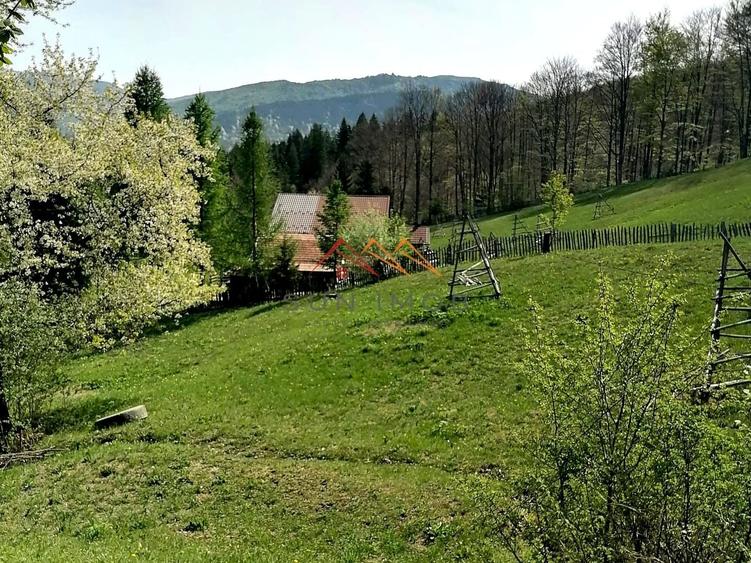 Teren Construcții extravilan de 23000 mp, în Valea Doftanei