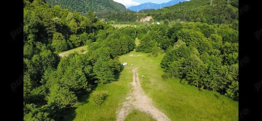 Teren de 5000 mp, în Păscoaia