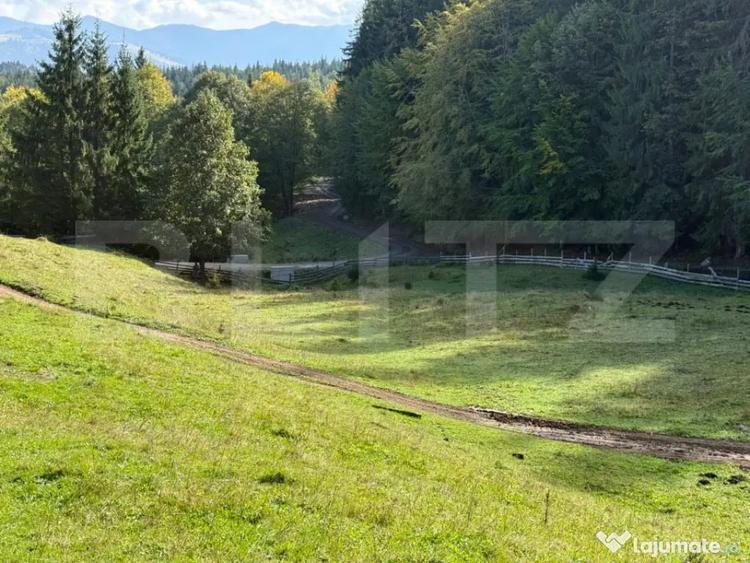 Teren de 2792 mp, în Colibița
