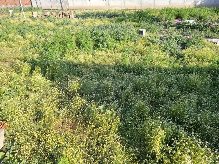 Casă individuală cu 4 camere cu Canalizare în Nădlac