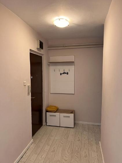 Bd Coposu( Pirvan) Apartament 1 camera - 9