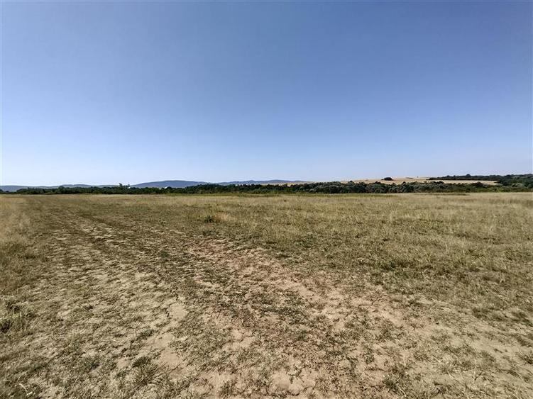 Teren agricol extravilan de 14500 mp, în Nicolinț