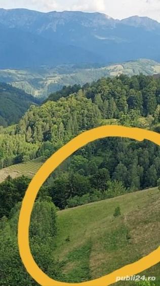 Teren de 7200 mp, în Peștera