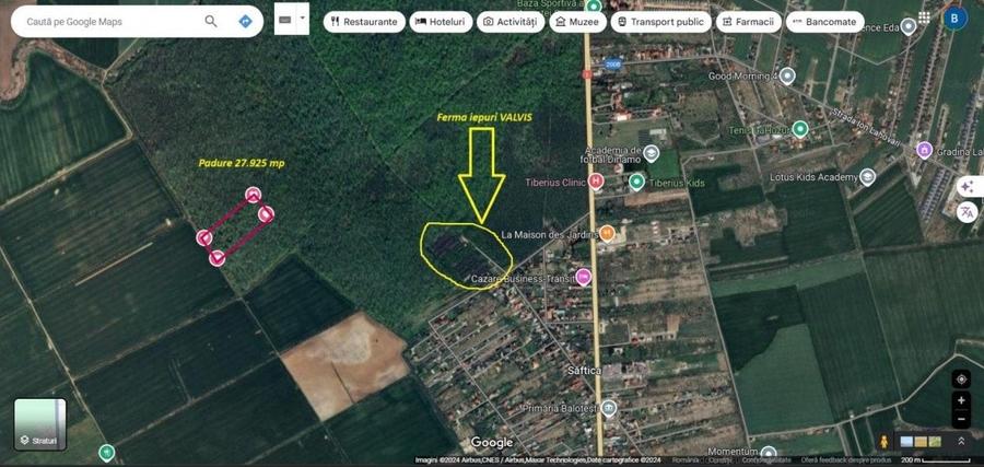 Teren de 27925 mp, în Săftica