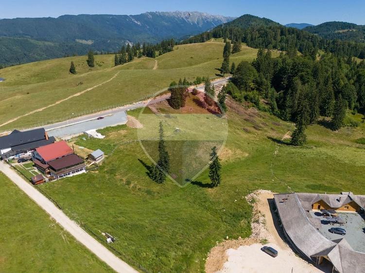 Teren de 52519 mp, în Dâmbovicioara