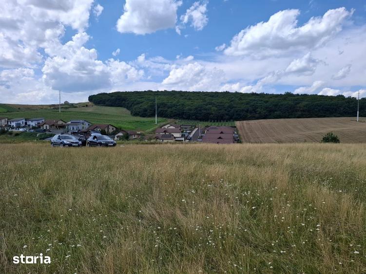 Teren de 5800 mp, în Sâncraiu de Mureș