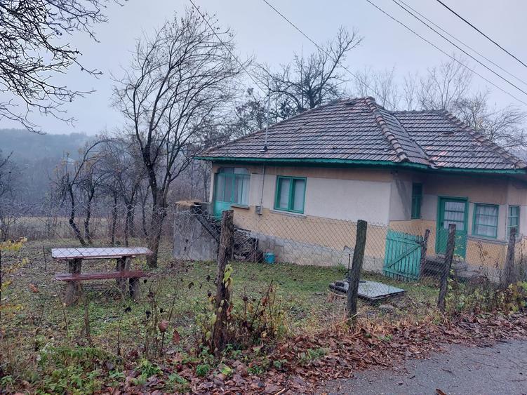 Teren Construcții intravilan de 5265 mp, în Teișani