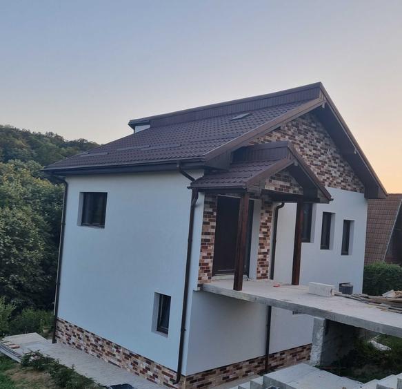Casa Leamna de Jos 2000 m2 teren - 3