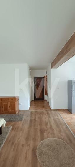 Apartament cu 2 camere decomandat, mobilat în Turnișor