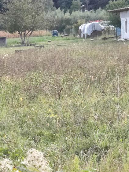 Teren de 2596 mp, în Central