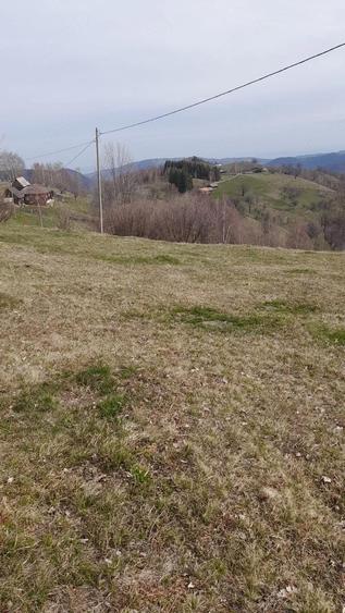 Teren de 2000 mp, în Dobra