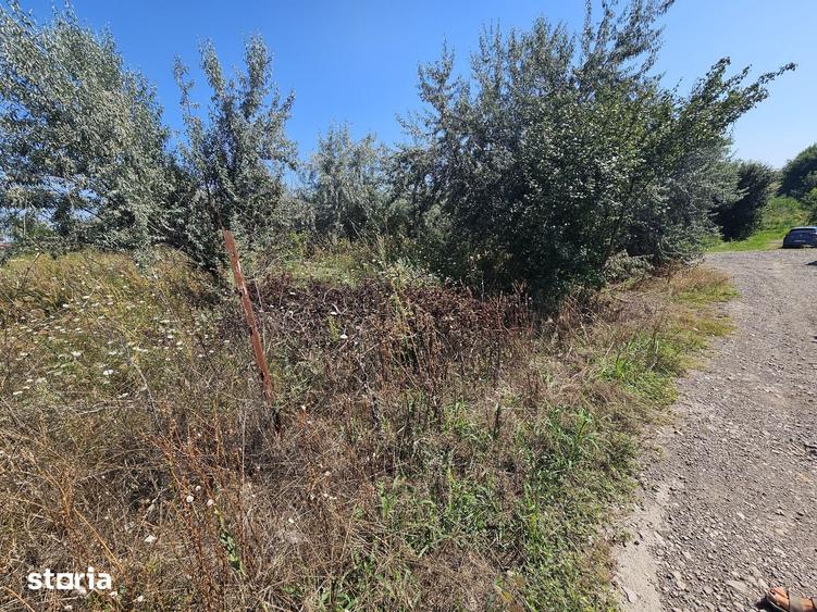 Teren de 500 mp, în Vânători