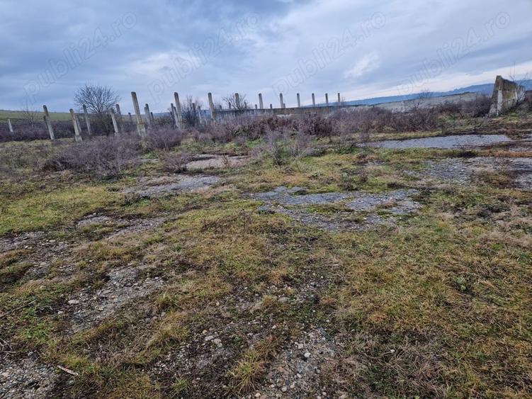 Teren de 15000 mp, în Cămărașu