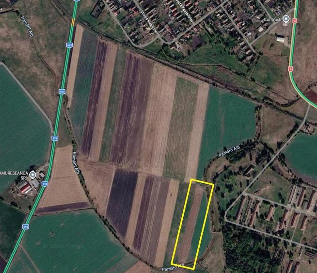 Teren de 10000 mp, în Biled