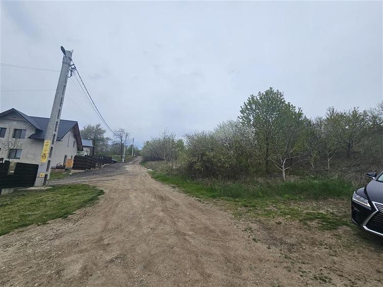 Teren Construcții intravilan de 9000 mp, în Ciurbești