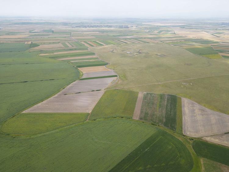 Teren de 400000 mp, în Zărand