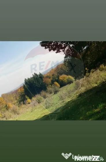 Teren în Dumbrăvița