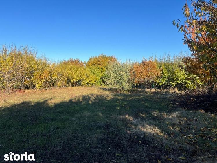 Teren de 800 mp, în Rediu