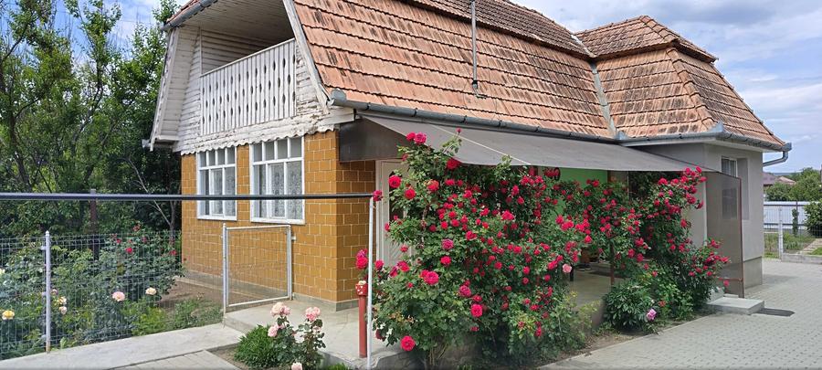 Casa de vanzare in Ludus - 8