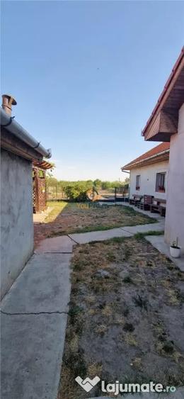 Doua Case In Curte Cenei La 28 Km De Timisoara - 16