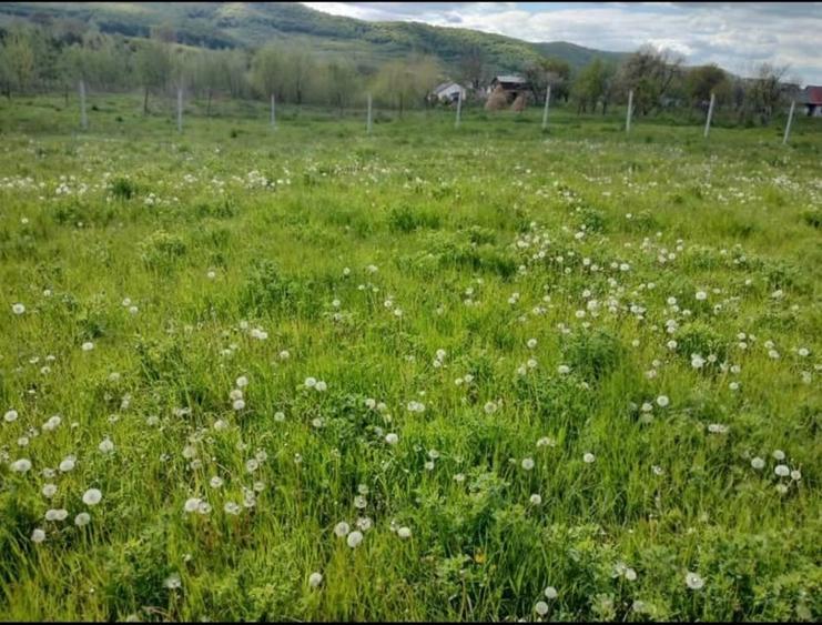 Teren Construcții intravilan de 1000 mp, în Exterior Vest