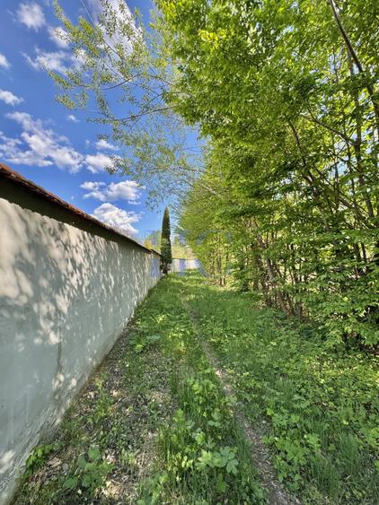 Teren Construcții intravilan de 1600 mp, în Avrig
