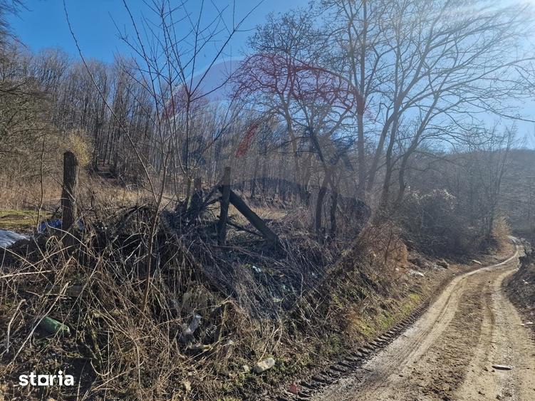Teren de 4985 mp, în Sascut