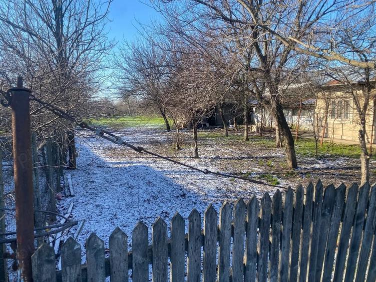 Casă cu Teren 2000 Mp în Cuza Vodă
