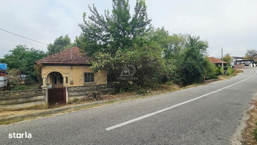 Casă cu 2 camere în Curtișoara