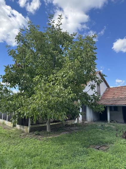 Casă cu 2 camere în Cheresig