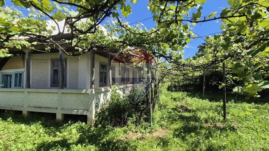 Teren Construcții intravilan de 3509 mp, în Răucești