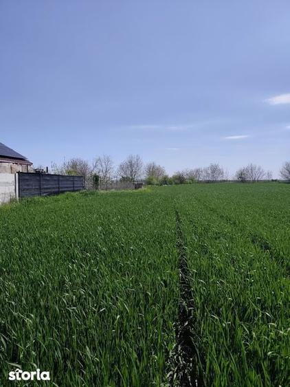 Teren de vanzare 2500 mp, Martacesti, Braila - 2