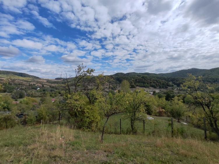Teren de 5400 mp, în Drăgăneasa
