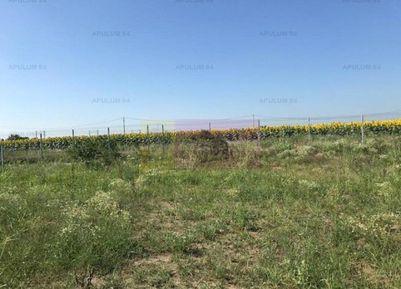 Teren Construcții intravilan de 13853 mp, în Domnești