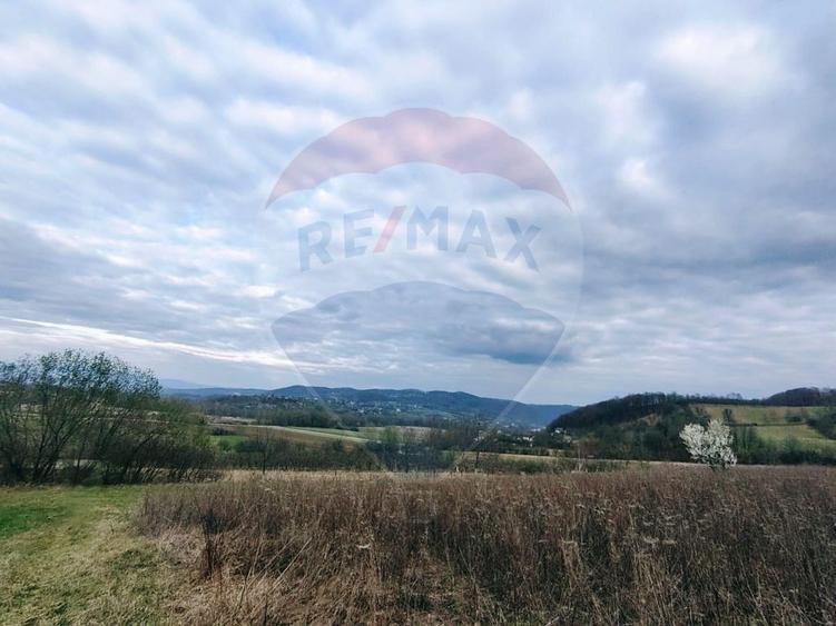 Teren cu panorama superba in Berchezoaia + bonus rulota - 4