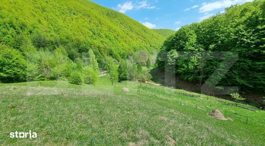 Teren de 5400 mp, în Iara