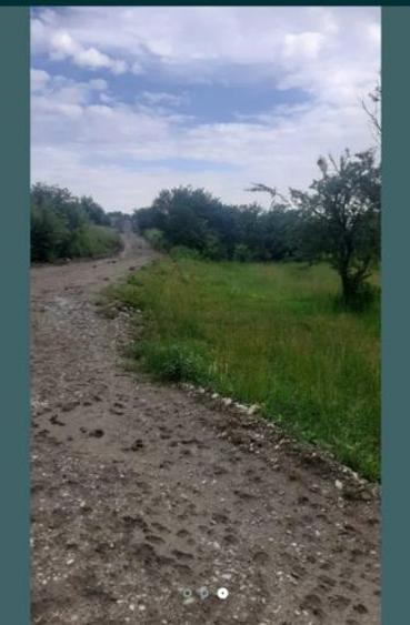 Teren extravilan de 15000 mp, în Filipeștii de Pădure