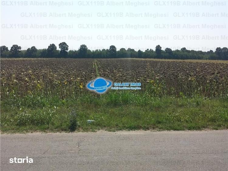Teren de 20700 mp, în Herăști