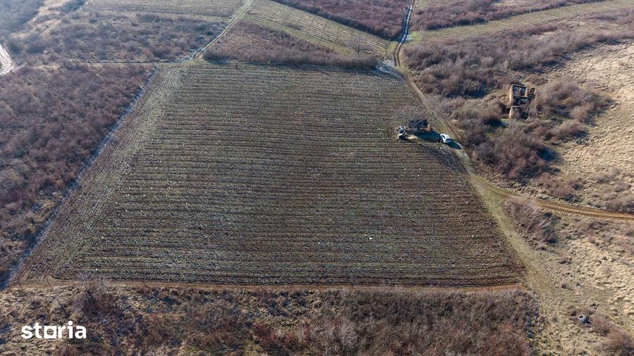 Teren de 6800 mp, în Covăsinț