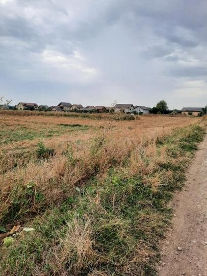 Teren Construcții intravilan de 4000 mp, în Țegheș
