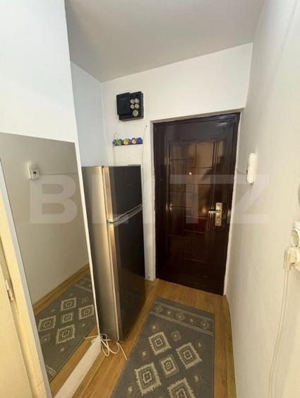 Apartament cu 1 cameră de închiriat, 250 €/lună, Girocului - 5