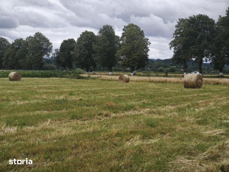 Teren de 5070 mp, în Gălănești