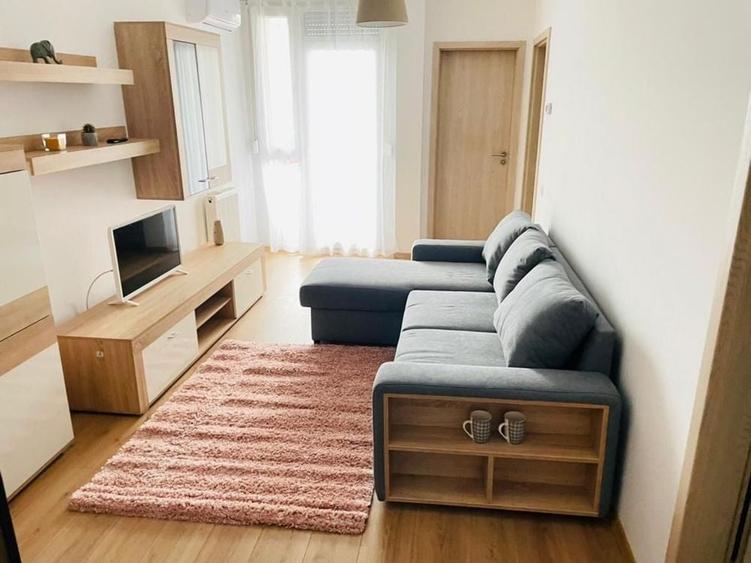 Apartament 2 camere Ared Decebal - 6