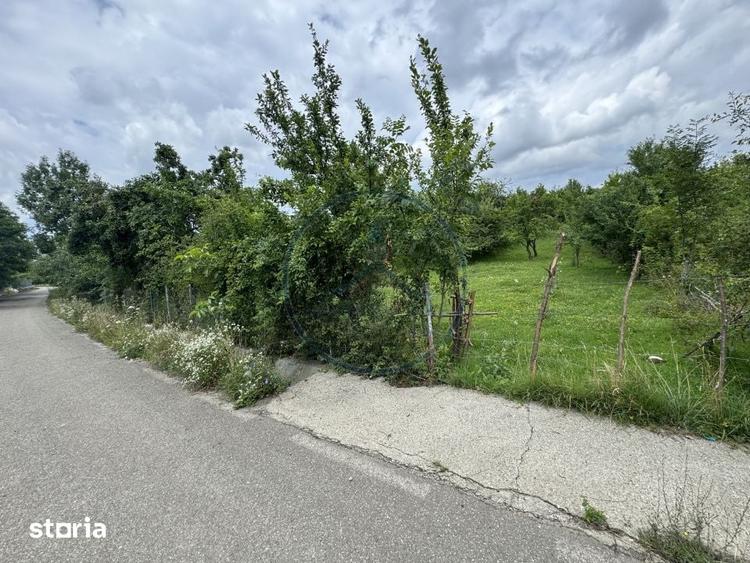 Teren intravilan | 22Ari. | Budacu de Sus, la doar 17 km de Bistrita - 4
