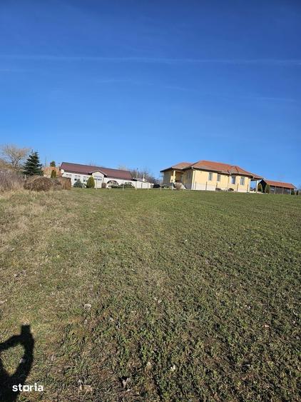 Teren de 1500 mp, în Cetariu